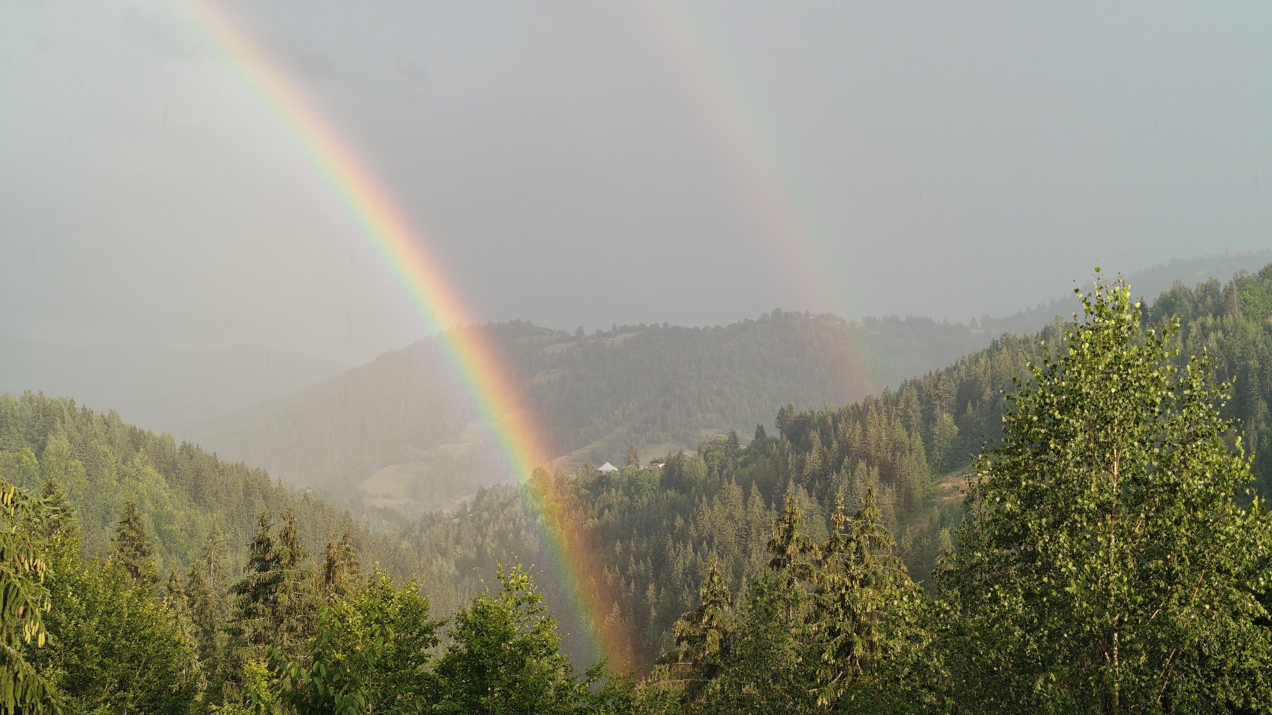 Acasă — IMG20260727191411.jpg